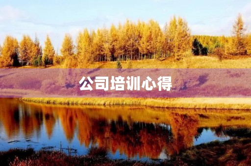 公司培训心得