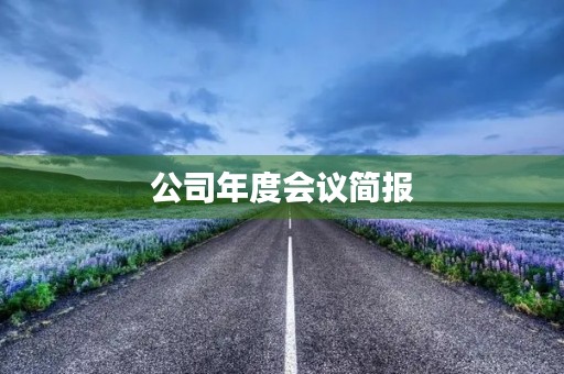 公司年度会议简报