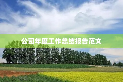 公司年度工作总结报告范文