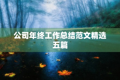 公司年终工作总结范文精选五篇
