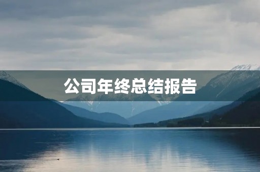 公司年终总结报告