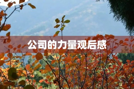 公司的力量观后感