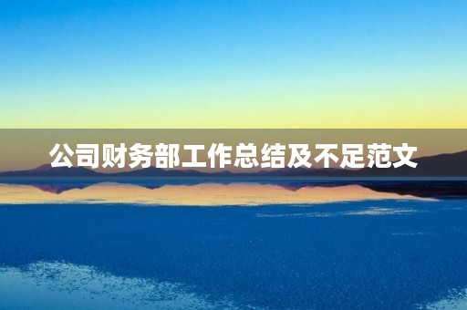 公司财务部工作总结及不足范文