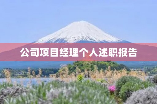公司项目经理个人述职报告 公司项目经理个人述职报告