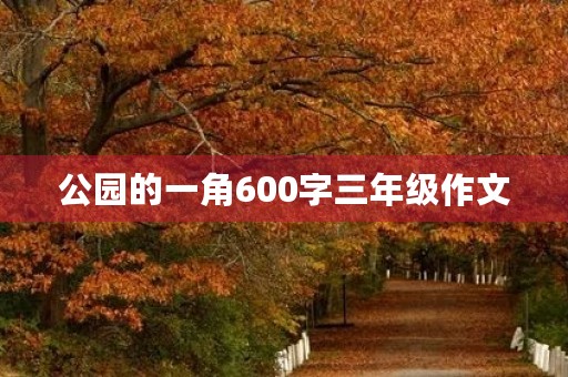 公园的一角600字三年级作文 公园的一角600字三年级作文