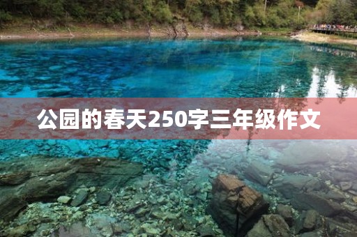 公园的春天250字三年级作文