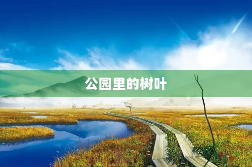 公园里的树叶
