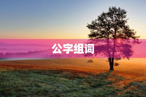 公字组词(公组词)