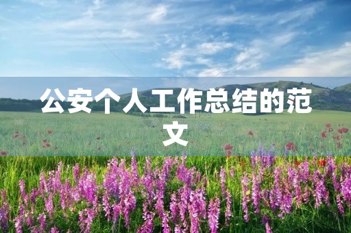 公安个人工作总结的范文