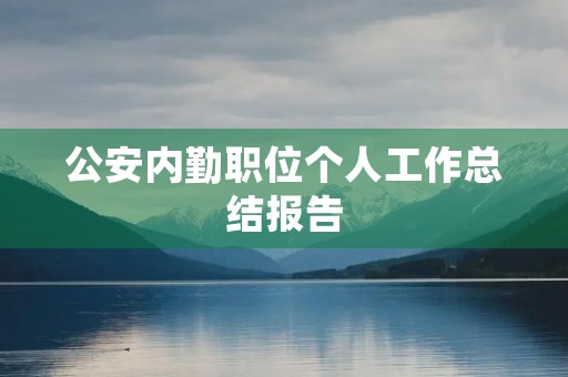 公安内勤职位个人工作总结报告