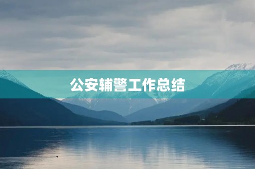 公安辅警工作总结 公安辅警工作总结