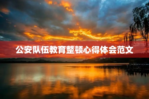 公安队伍教育整顿心得体会范文