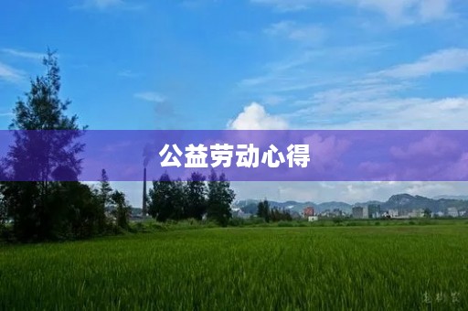 公益劳动心得 公益劳动心得