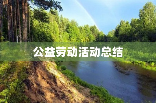 公益劳动活动总结