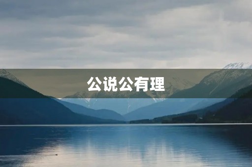 公说公有理，婆说婆有理