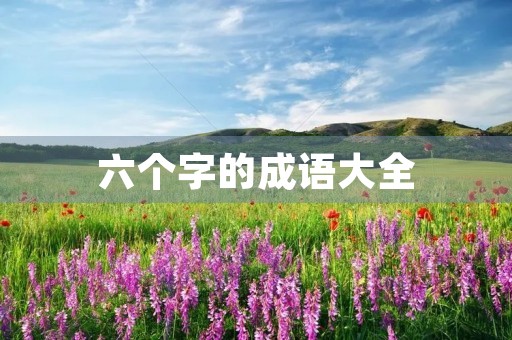六个字的成语大全