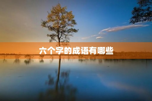 六个字的成语有哪些