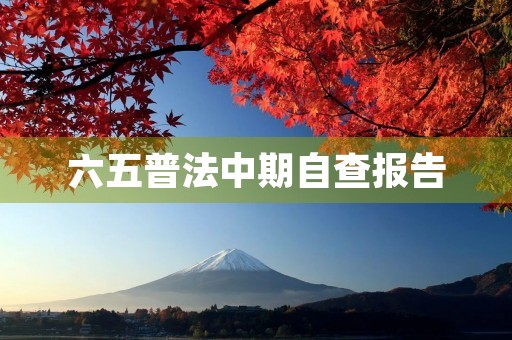 六五普法中期自查报告 六五普法中期自查报告