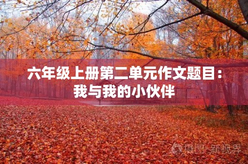 六年级上册第二单元作文题目:我与我的小伙伴 六年级上册第二单元作文题目:我与我的小伙伴