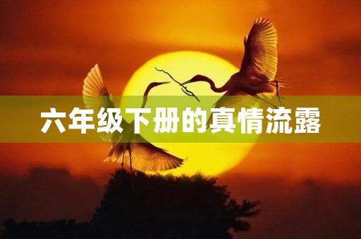 六年级下册的真情流露