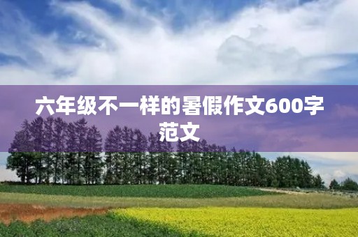 六年级不一样的暑假作文600字范文
