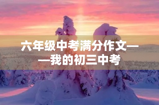 六年级中考满分作文——我的初三中考