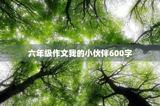 六年级作文我的小伙伴600字