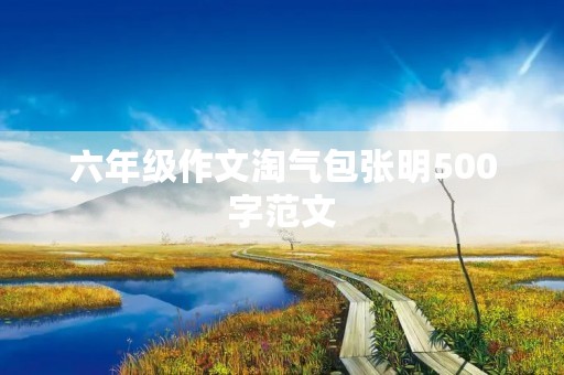 六年级作文淘气包张明500字范文