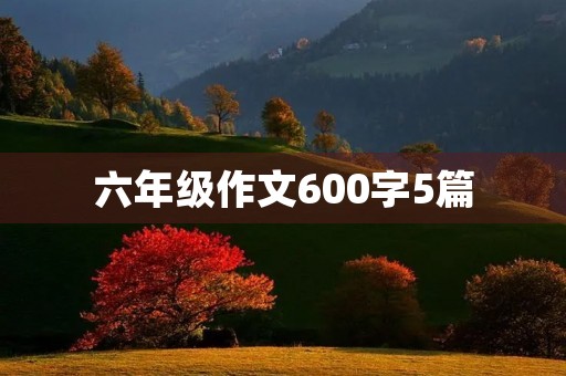 六年级作文600字5篇 六年级作文600字5篇