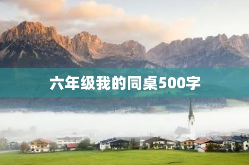 六年级我的同桌500字