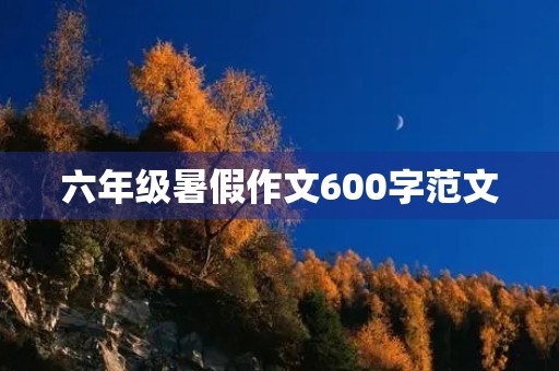 六年级暑假作文600字范文