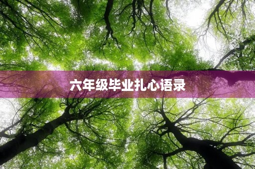 六年级毕业扎心语录