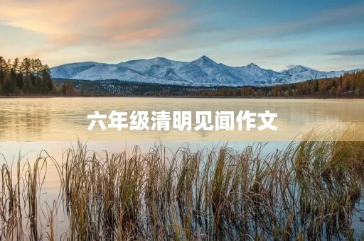 六年级清明见闻作文