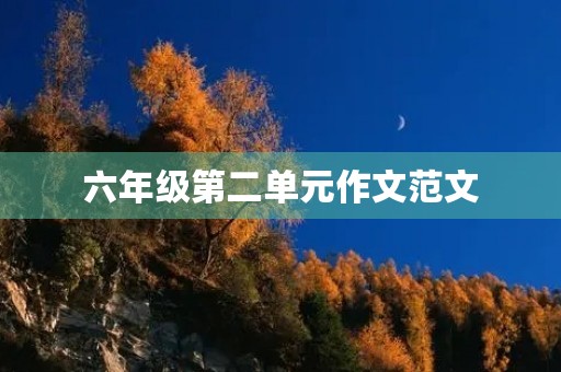 六年级第二单元作文范文