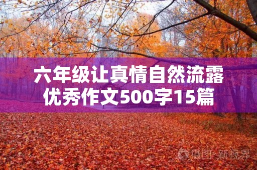 六年级让真情自然流露优秀作文500字15篇 六年级让真情自然流露优秀作文500字15篇