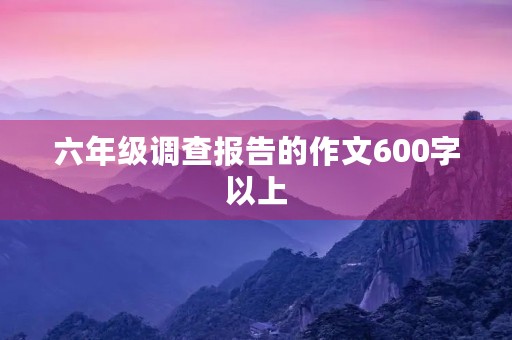 六年级调查报告的作文600字以上