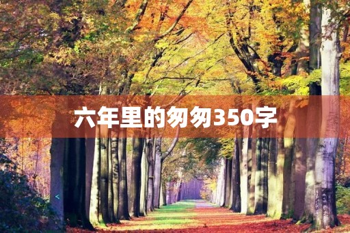 六年里的匆匆350字