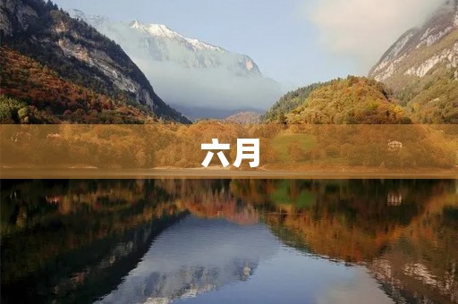 六月，放飞理想