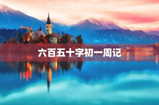 六百五十字初一周记