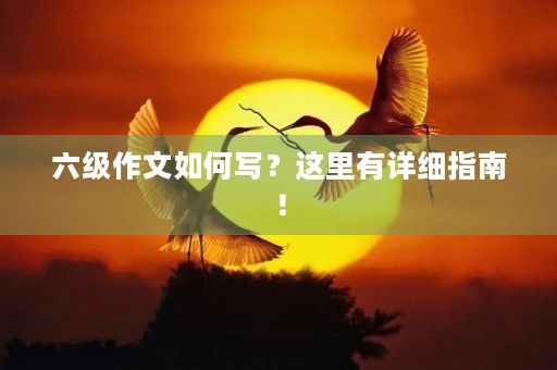 六级作文如何写?这里有详细指南! 六级作文如何写?这里有详细指南!