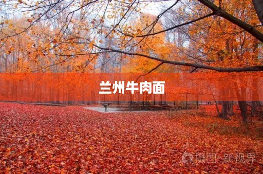 兰州牛肉面