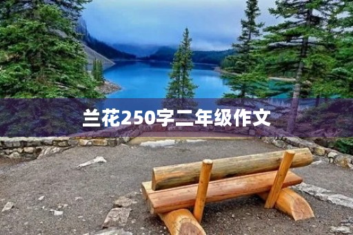 兰花250字二年级作文