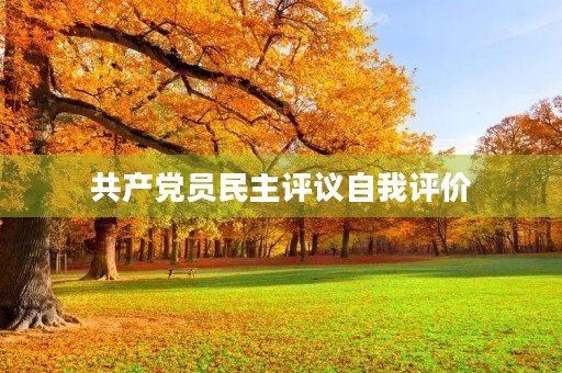 共产党员民主评议自我评价