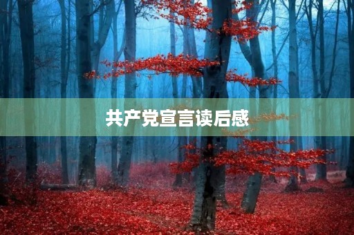 共产党宣言读后感 共产党宣言读后感