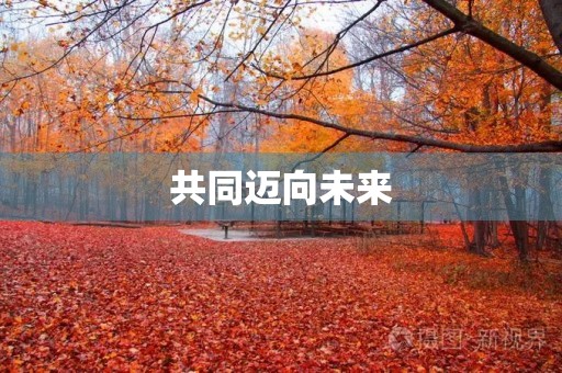 共同迈向未来 共同迈向未来