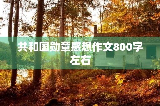 共和国勋章感想作文800字左右 共和国勋章感想作文800字左右