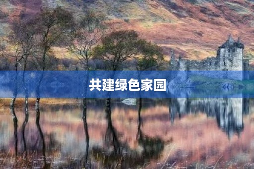 共建绿色家园，保护我们的地球