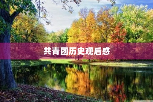 共青团历史观后感 共青团历史观后感