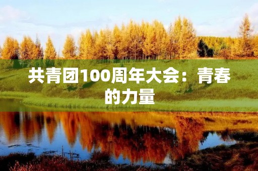 共青团100周年大会：青春的力量
