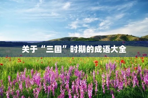 关于“三国”时期的成语大全